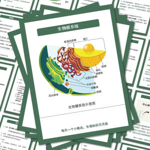 Biological Notes Stickers for High School And Junior High Students Learning Memorization Knowledge Points Notebook Water Cup Desk Accessories