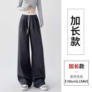 Gray High Waist Wide Leg Pants Womens Spring Autumn 2024 New Style Slimming Loose Casual Small Size Color Block Sports Pants