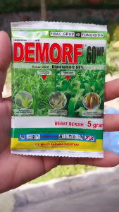 Demorf 60 WP Fungisida Pengendali Jamur Jagung/Obat Penyakit Bulai Jagung/Demorf 60 WP Fungisida 5gr