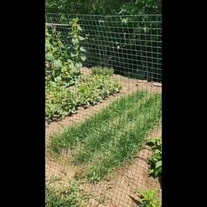 【COD】30Meter Length thick coating wire fence1.2 Meter 1.5 Meter Height Wire Fence Mesh Fence