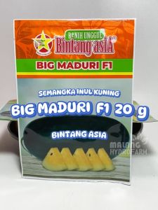 Benih Semangka Inul Kuning Big Maduri F1 20 gram Bintang Asia dataran rendah bibit biji buah buahan lonjong panjang hydroponik hidroponik