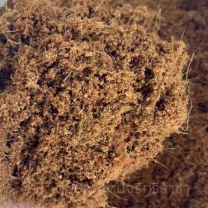 (ส่งฟรี)ขุยมะพร้าวละเอียด 1 กระสอบ(7-10kg.) ขุยใต้แท้100% ขุยกะทิ ละเอียด ใยน้อย ใช้เวลาจัดส่ง 5-7 วัน