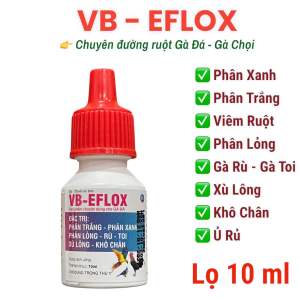 Eflox lọ 10ml tiêu chảy chướng diều khô chân xù lông phân xanh trắng ecoli trên gà đá vịt gia cầm