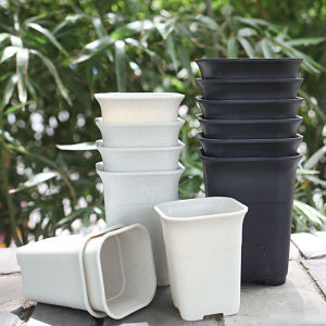 Square High Waist Vientiane Basin Plastic Office Desktop Succulent Lithops Jade Dew Plant Pot Oxalis Corniculata Flowerpot Base Support
