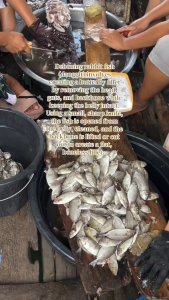 Unsalted Danggit (Crispy murag Chicharon) from Cebu 100/250 grams