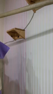 Stelan Baju Anak Perempuan Motif Viral Model Kekinian Elegan Lengan Pendek Usia 1-10 TahunBahanKatun