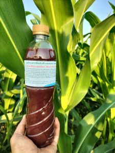 ตัวช่วยเกษตรกร🦠หัวเชื้อจุลินทรีย์ สังเคราะห์แสง เข้มข้น แท้100% เพิ่มธาตุรอง และ ธาตุเสริม🦠 ขนาด1.5 ลิตร