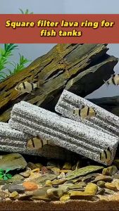 Aquarium Filter Bacterial House Biological Filter Medium Filtration Of Lava Ring Nitrifying Bacteria For Aquarium Clean