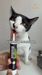 Kokoro Biogut (Cat) - Bowel & Hairball Control Nutrition Gel 38g | Mess & Odour Control