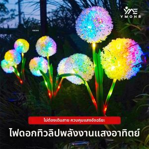 ไฟคริสต์มาส โซลาร์เซลล์ กลางแจ้ง ลูกบอลหญ้า ต้นแดนดิไลอัน ดอกไม้ firework กันน้ำ LED สำหรับแต่งสวนและลานหญ้า