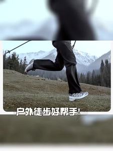 Mobi Garden | Ultralight Extendable Carbon Fiber Locking Trekking Poles