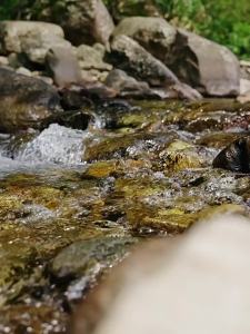 NatureHike | Waterproof Touchscreen Compatible Pouch for Aquatic Activities