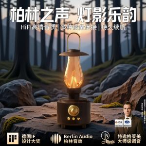 Berlin Sound 2025 New Style Wireless Bluetooth Speaker Vintage FM Radio Oil Lamp Bluetooth Speaker HiFi Sound Quality