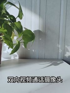 DOSEN Icsee V1 Video Cctv Camera Wireless connect phone 360° for home Baby Monitor / Full Color Night Vision / Auto Tracking Wifi Camera