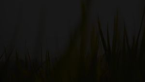 INCIO HOME Energetic Crystal Essential Oil Diffuser Gift Set - Health Series Azure Dragon