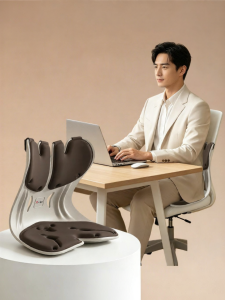 Ergonomic Lumbar Support Cushion Office Seat Pad