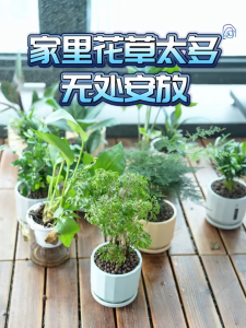 Iron Flower Pot Rack Flower Rack Ladder Type Indoor Balcony Mobile Living Room Plant Multi-layer Floor Rack