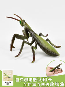 Children's Toy Solid Simulation Insect Animal Model: Handheld Insect Decoration & Early Education Perception Teaching Aids