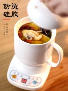 Bếp Điện Nấu Chậm Nồi Chưng Yến Hầm Cháo Đun Sữa Bếp Điện Hẹn Giờ Tự Động Ngắt Tiết Kiệm Điện Năng Nấu Chè Nấu Canh