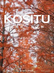 kositu | Dual Compartment Expandable Strengthened Luggage 28inch