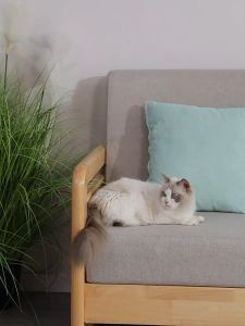 3L Wireless Cat Automatic Water Fountain With Motion Sensor Pet Water Dispenser Filter