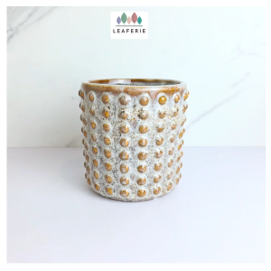 The Leaferie Konrad plant pots. flowerpot . flowerpots . flower pot . planter . planters . Ceramic . Plants