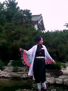 Demon Slayer Shinobu Cosplay Costume for Women Demon Slayer Costume Shinobu Haori Shinobu Outfit Kimono Christmas
