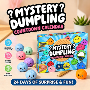 Soft Mystery Dumpling 24-Day Advent Calendar Anxiety Relief Slow Resilience Fidget Decompression Blind Boxes