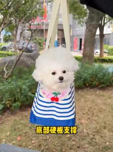 EdenPetz Portabl Pet Dog Cat Sling Carrier Lightweight Outdoor Puppy Kitten Travel Shoulder Bag