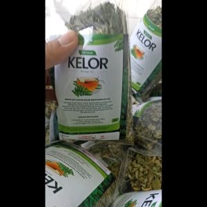(PROMO) Paket 10 Pcs Teh Seduh Daun Kelor 40gr 100% Asli Premium Organik Moringa Tea