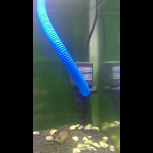 Pusa Aquarium Selang Spiral Akuarium Filter Box - Lentur & Tahan Lama - 1,7 cm Diameter - Hitam/Biru (ORIGINAL)