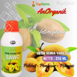 Pupuk Pelebat Buah Sawo / Pupuk Pelebat Buah Buahan / Pupuk Buah Sawo / Pupuk Pembesar Buah Sawo / Pupuk Booster Buah Sawo / Pupuk Khusus Sawo