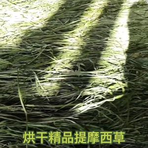 Machine Drying Grass Leaves 0.5kg เครื่องทิโมธีอบแห้งใบหญ้าเพิ่มเติม