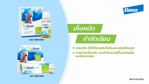 Bayticol 6% E.C. [แท้💯] (ไบติคอล) ผลิตภัณฑ์กำจัดเห็บหมัด ชนิดผสมน้ำ ดูแลครบ จบปัญหาเห็บหมัด ทั้งตัวสัตว์และสิ่งแวดล้อม