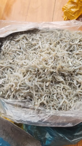 Cá cơm mờm sữa 500G đặc sản Nha Trang hàng loại 1