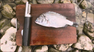 ☀️Life Core☀️ Cordless Electric Fish Scaler Stripper Fish Scale Scraper Rechargeable Seafood Scale Remover Tool