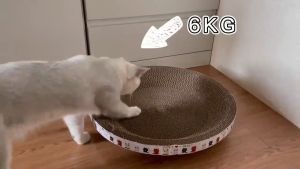 Cat Scratch Toy Wear-Resistant Pet Nest Cat Bowl Shaped Toy Cute Edge Scratches