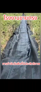 แผ่นพลาสติกสีดำมีประสิทธิภาพในการควบคุมวัชพืช ใช้กันอย่างแพร่หลาย 1x10 1.5x10 2x5 2x10 3x10 1x50 1x100 1.5x50 3x50 ระบายอากาศ ใช้เพื่อการควบคุมวัชพืชทางการเกษตร ทนทานและใช้งานได้ยาวนาน