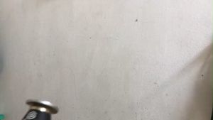 Đinh ty ren tiêu âm Omega C20 - Omega C25 chuyên dùng cho xây dựng đi ống điện nẹp ống nước - Đổi trả 7 ngày đầu