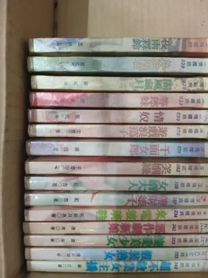 Second Hand Novel 二手小说 深情纏綿系列