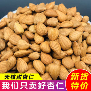 New Arrival Freshly Harvested Large Unroasted Almonds Snack Raw Flavor Bulk Packaged Nuts Healthy Snack from Hebei Province