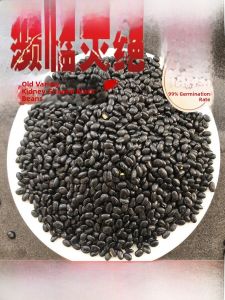 Non-GMO Black Beans 5 Cans Traditional Variety for Soy Milk Kidney-Shaped Yellow Core Beans Sprouting Black Beans
