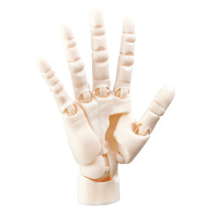 Artistic Miniature Model Toy Jointed Finger Hand Palm Wrist Rotatable Art Collectible Figurine Display Item from Japan