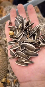 HẠT HƯỚNG DƯƠNG SẤY MỘC – ĂN VẶT NHÂM NHI TÚI 500GR