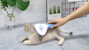 NO LIMIT Sisir Rambut Hewan Peliharaan Kucing Anjing Uap Bulu Rontok Kutu Anti Kusut Hair Grooming