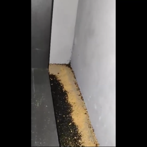 Akita ANT Killing Bait 50grams  Ant Nest PesticidesHousehold