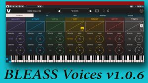 ปลั๊กอิน ร้องเรียกและทรงพลัง ตามจินตนาการ BLEASS Voices Keys Login พร้อมวีดีโอวิธีติดตั้ง