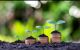Kebun Bibit Artomoro