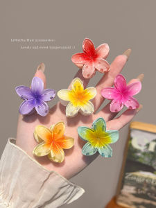 Colorful Shark Hair Clips Womens Small Size Half Updo Hair Grips New 2024 Fashion Hair Accessories behind the Ear