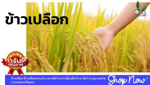 ข้าวเปลือก ตากแห้ง เป็นอาหารสัตว์ และบรรจุถูกช่วยสะอาด ไม่มีเครื่องการผลิตอื่น ๆ